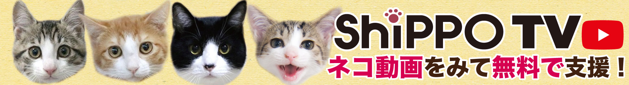 可愛い猫動画をみて無料で支援！ShippoTV