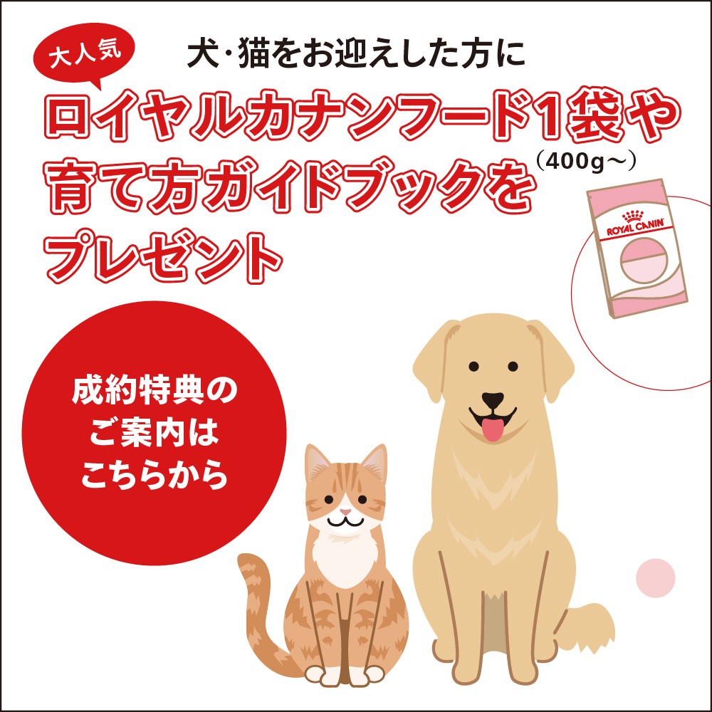 royalcanin
