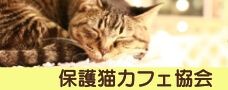 保護猫カフェ協会